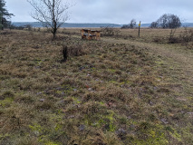 Seechen, Ungeheuerwiesen und Vogelbeobachtungsturm_7