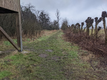 Seechen, Ungeheuerwiesen und Vogelbeobachtungsturm_9