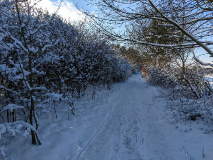 Traumhafte Winterwanderung rund um den Blankensee