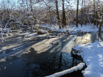 Traumhafte Winterwanderung rund um den Blankensee