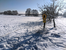 Traumhafte Winterwanderung rund um den Blankensee