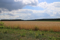 Ausflugstipps für den Landkreis Teltow-Fläming