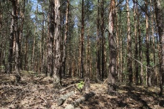 Von Kleinbeuthen über Blankensee nach Trebbin