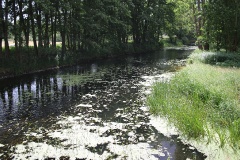 Ausflugstipps für den Landkreis Teltow-Fläming