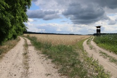 Von Kleinbeuthen über Blankensee nach Trebbin