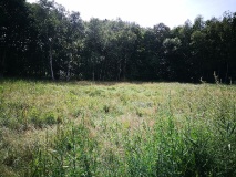 Von Königs Wusterhausen durch die Dahme-Fläming-Region