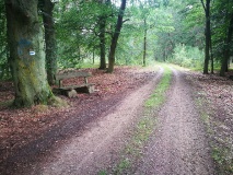 Von Königs Wusterhausen durch die Dahme-Fläming-Region