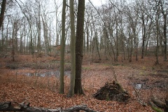 Ausflugstipps für die Landeshauptstadt Potsdam