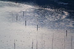 Ausflugstipps für die Landeshauptstadt Potsdam