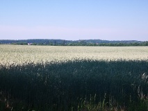Ausflugstipps für die Landeshauptstadt Potsdam