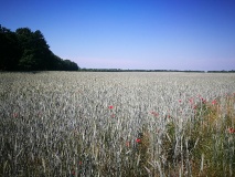 Ausflugstipps für die Landeshauptstadt Potsdam
