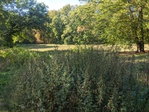 Loggia Alexandra im Landschaftspark Klein Glienicke