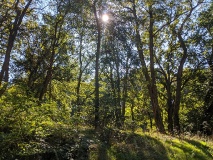 Loggia Alexandra im Landschaftspark Klein Glienicke