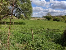 Ausflugstipps für die Landeshauptstadt Potsdam