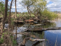 Ausflugstipps für die Landeshauptstadt Potsdam