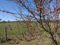 Ausflugstipps für die Landeshauptstadt Potsdam