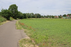 Ausflugstipps für die Landeshauptstadt Potsdam