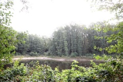 Ausflugstipps für die Landeshauptstadt Potsdam