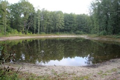 Ausflugstipps für die Landeshauptstadt Potsdam