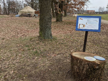 Spannung, Sport und Natur beim Disc-Golf