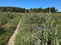 Ein schönes, stilles Stück Potsdam - Wanderung zu den düsteren Teichen.