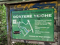 Still und schön - die düsteren Teiche in Potsdam-Bornstedt