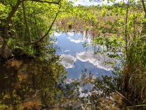 Teichlandschaft am Werderschen Damm