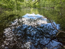 Teichlandschaft am Werderschen Damm