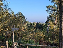 Kesselmoor, Teufelssee und Ravensberge - Wanderung im Potsdamer Erholungswald