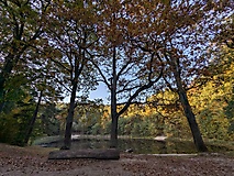 Teufelssee-Tour in Potsdam mit einer tollen Aussicht vom kleinen Ravensberg
