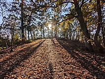 Kesselmoor, Teufelssee und Ravensberge - Wanderung im Potsdamer Erholungswald