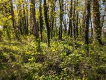 Ausflugstipps für die Landeshauptstadt Potsdam