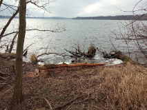Vom Bahnhof Pirschheide zum Waldbad Templin
