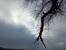 Vom Bahnhof Pirschheide zum Waldbad Templin