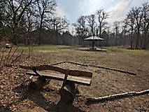 Vom Werderschen Damm durch den Wildpark zum Waldbad Templin