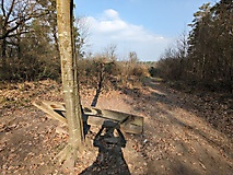 Vom Werderschen Damm durch den Wildpark zum Waldbad Templin