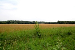 Ausflugstipps für die Landeshauptstadt Potsdam