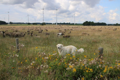 MAZ-Landpartie in Bildern: Dauermodenschau und Wehrtürme im Grenzland