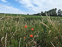 Rundtour von Bad Wilsnack nach Rühstädt