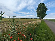 Ausflugstipps für die Prignitz