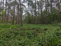 Tolle Rundwanderung: Von Bad Wilsnack zur Plattenburg