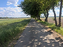Durch die Uckermark zu Brandenburgs schönstem Picknickplatz