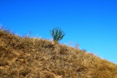 Fotos aus der Uckermark