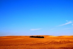 Greenpoint, bei Altkünkendorf