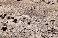 Risse im Paradies, bei Polzow