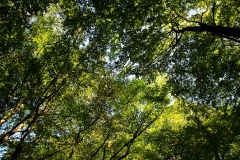 Fotos aus der Uckermark