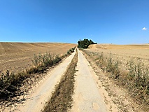 Ausflugstipps für die Uckermark