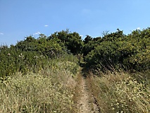 Ausflugstipps für die Uckermark