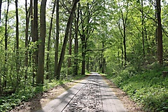 MAZ-Landpartie: Von Angermünde nach Eberswalde