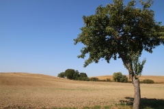 Ausflugstipps für die Uckermark